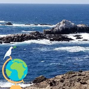 Meet your Posher, Regina